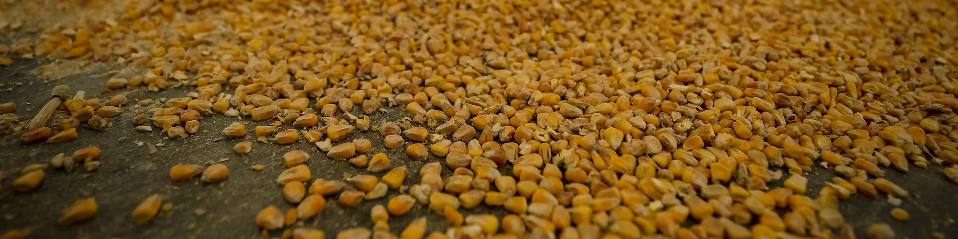 handle agro goods