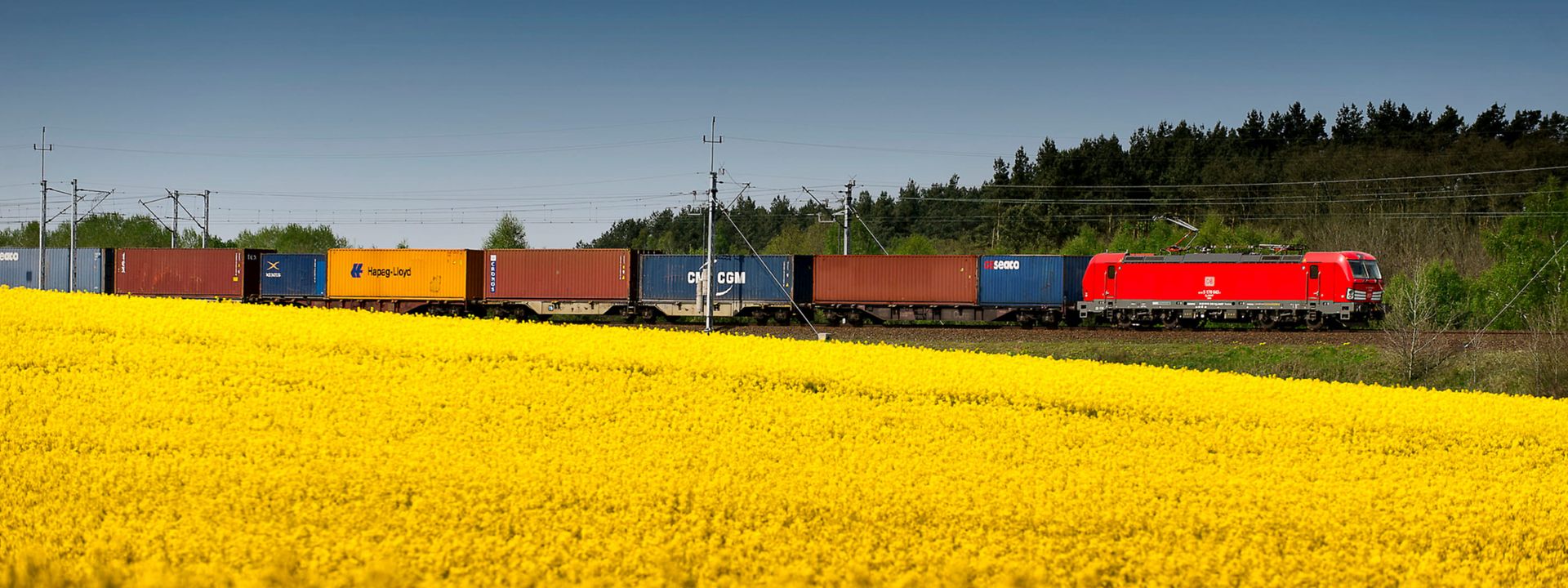 Freight train through green fields from above